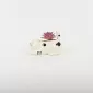 Cute Cat Succulent Ornament