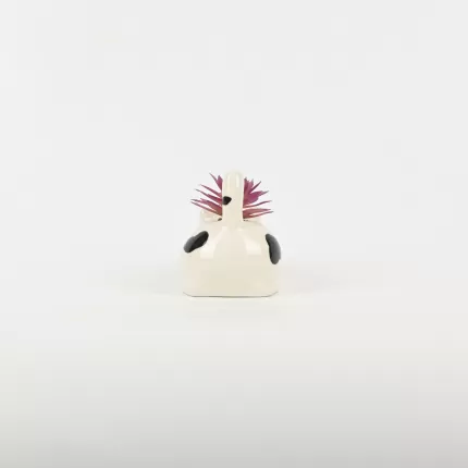 Cute Cat Succulent Ornament