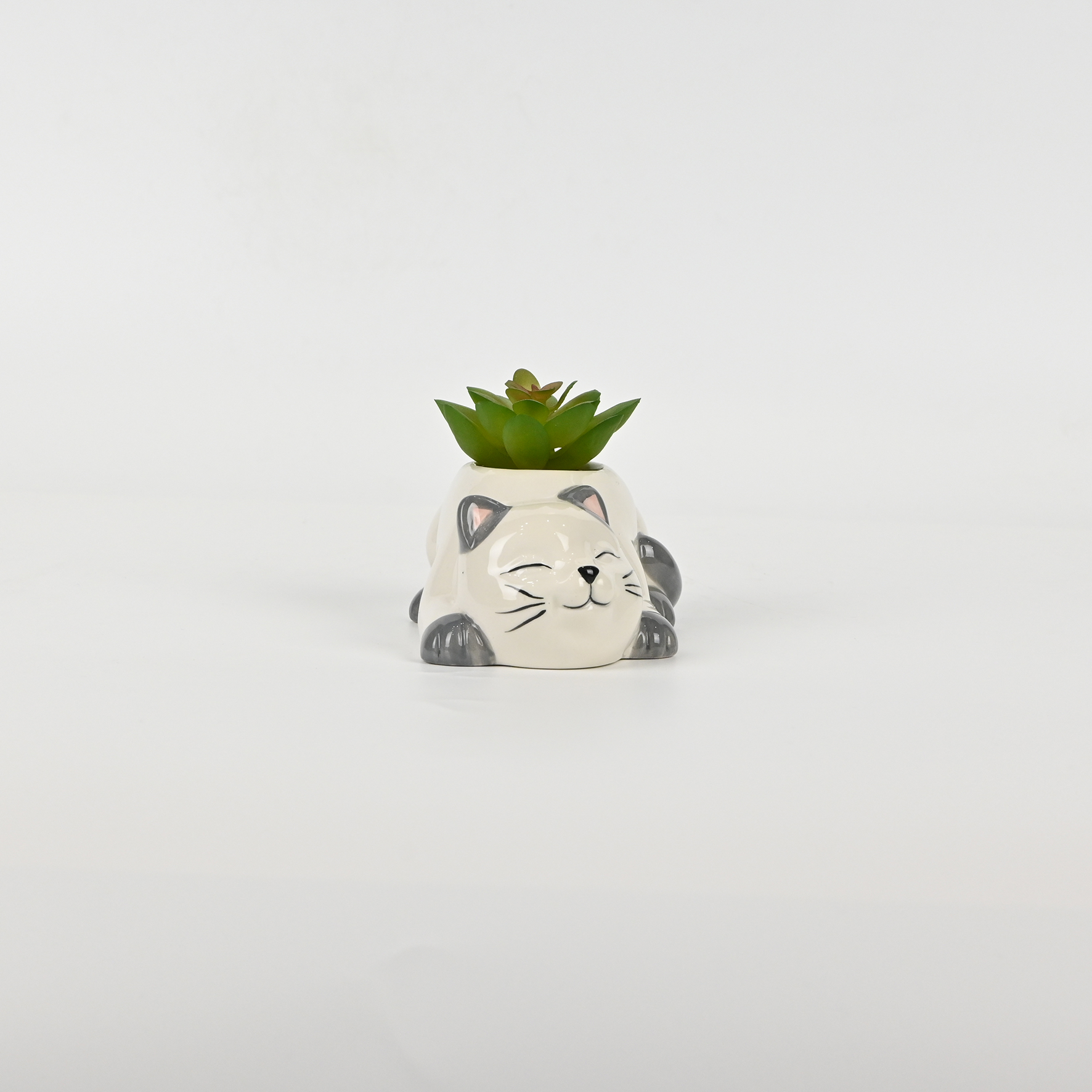 Cute Cat Succulent Ornament