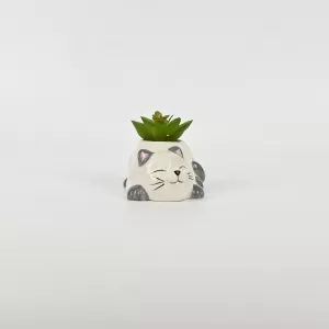 Cute Cat Succulent Ornament