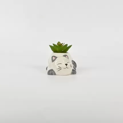 Cute Cat Succulent Ornament