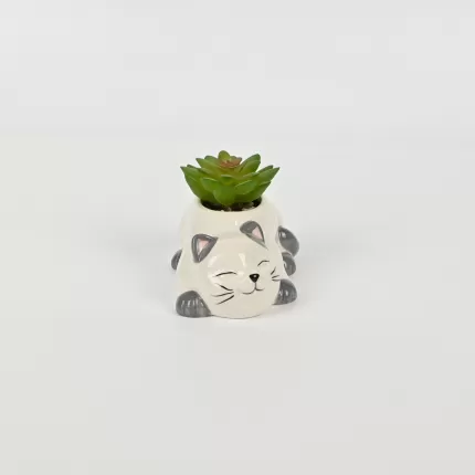 Cute Cat Succulent Ornament