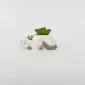 Cute Cat Succulent Ornament