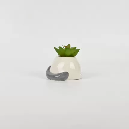 Cute Cat Succulent Ornament