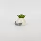 Cute Cat Succulent Ornament