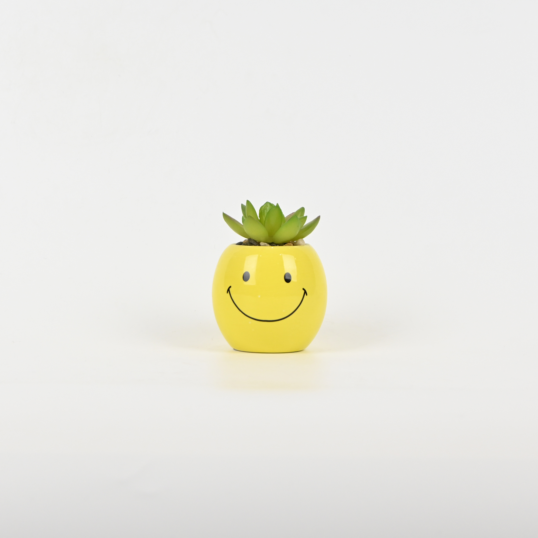 Smiling Succulent Ornament