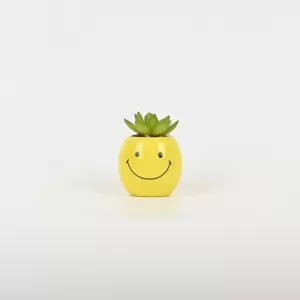 Smiling Succulent Ornament