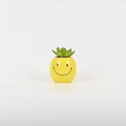 Smiling Succulent Ornament
