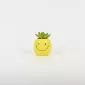 Smiling Succulent Ornament