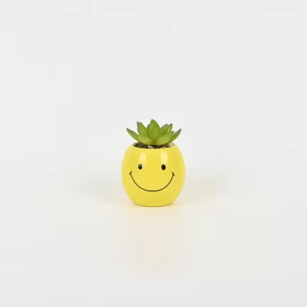 Smiling Succulent Ornament