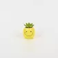 Smiling Succulent Ornament