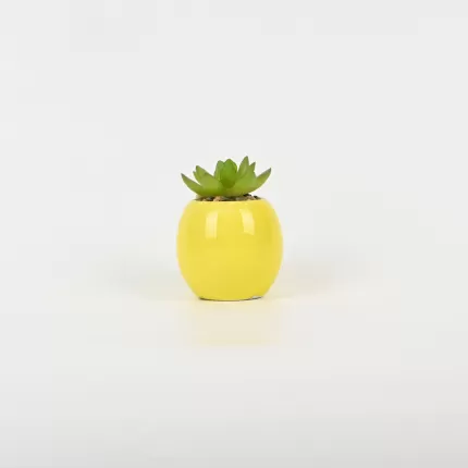 Smiling Succulent Ornament