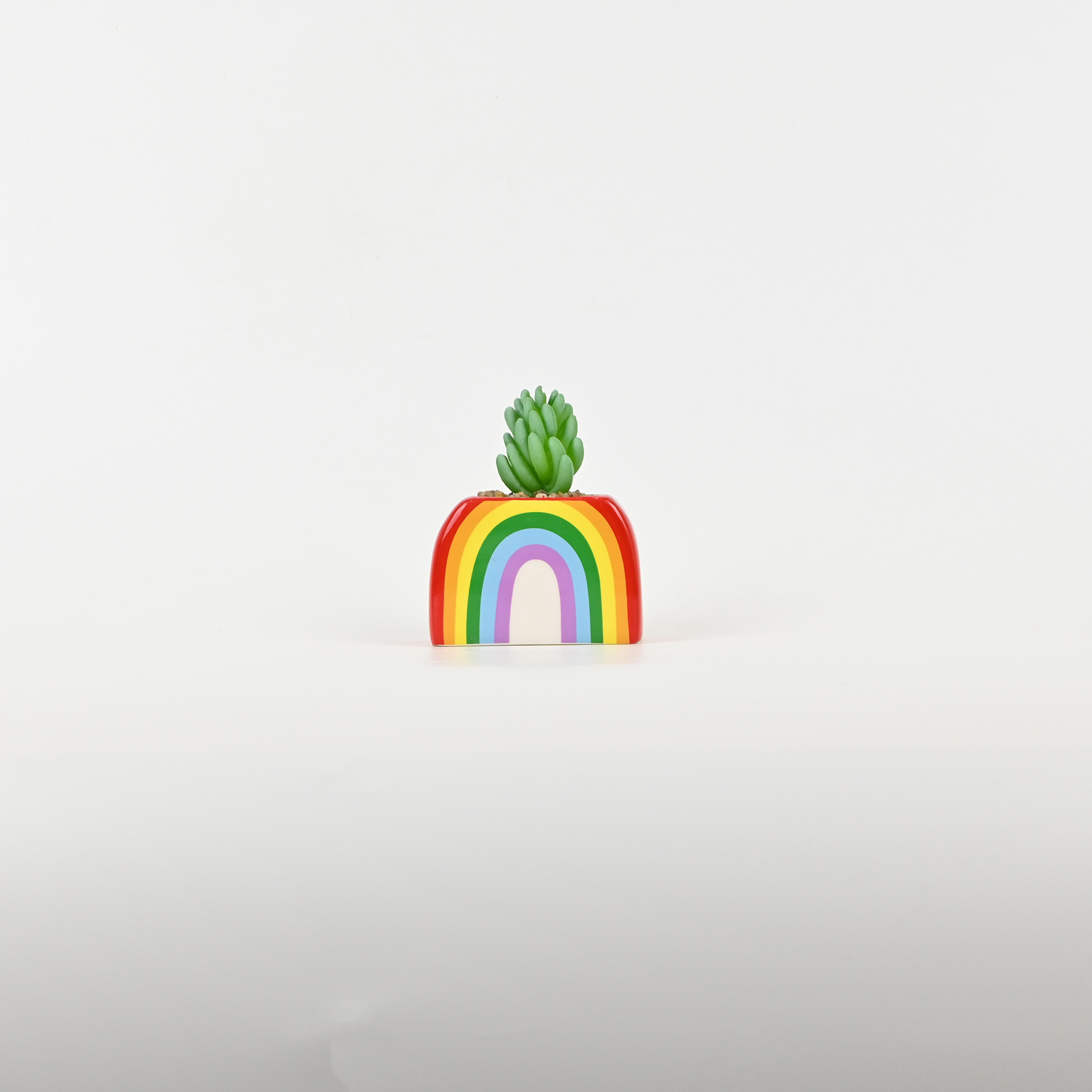 Rainbow Succulent Ornament