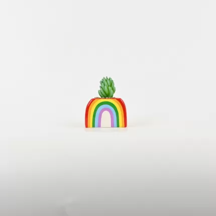 Rainbow Succulent Ornament