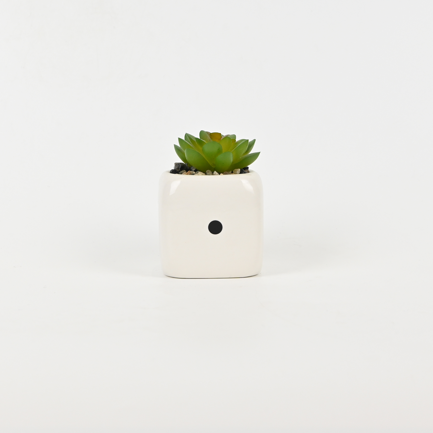 Dice Succulent Ornament