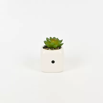 Dice Succulent Ornament