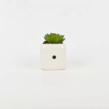 Dice Succulent Ornament
