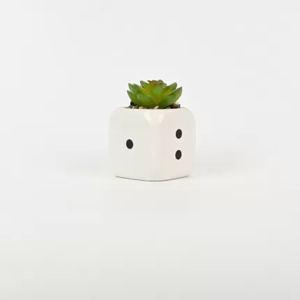Dice Succulent Ornament