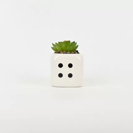 Dice Succulent Ornament