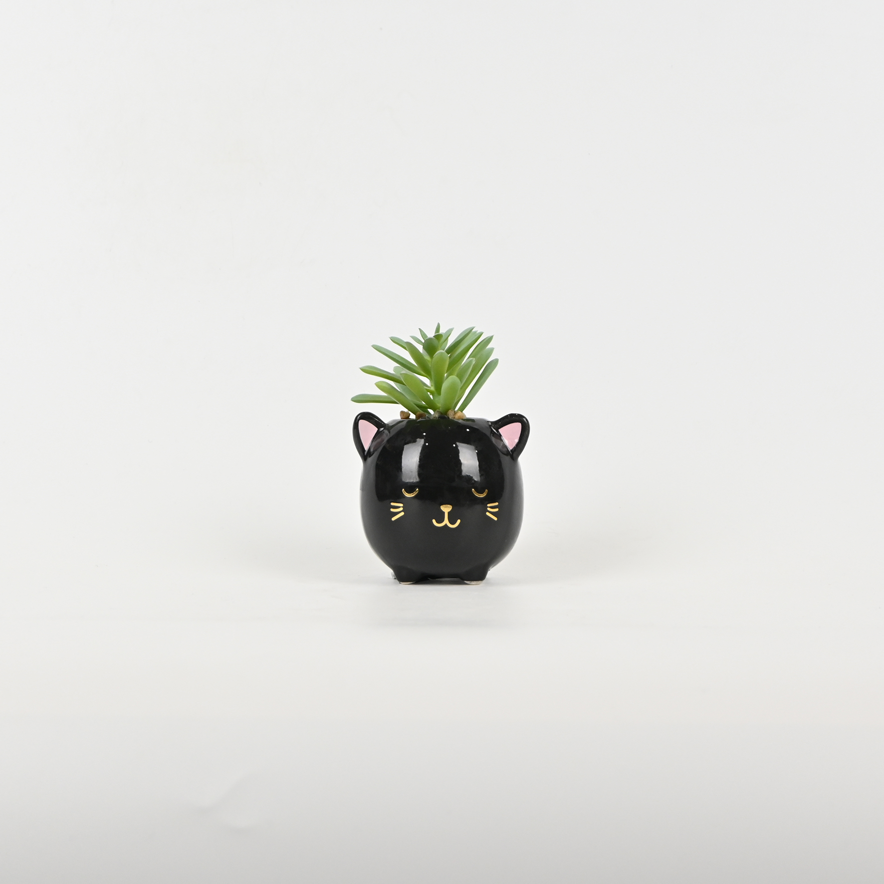 Black Cat Succulent Ornament