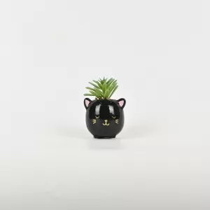 Black Cat Succulent Ornament