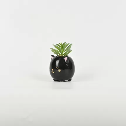 Black Cat Succulent Ornament