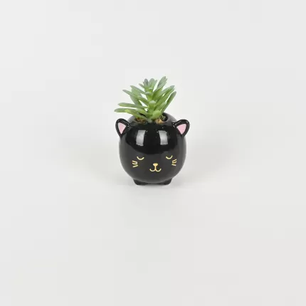 Black Cat Succulent Ornament