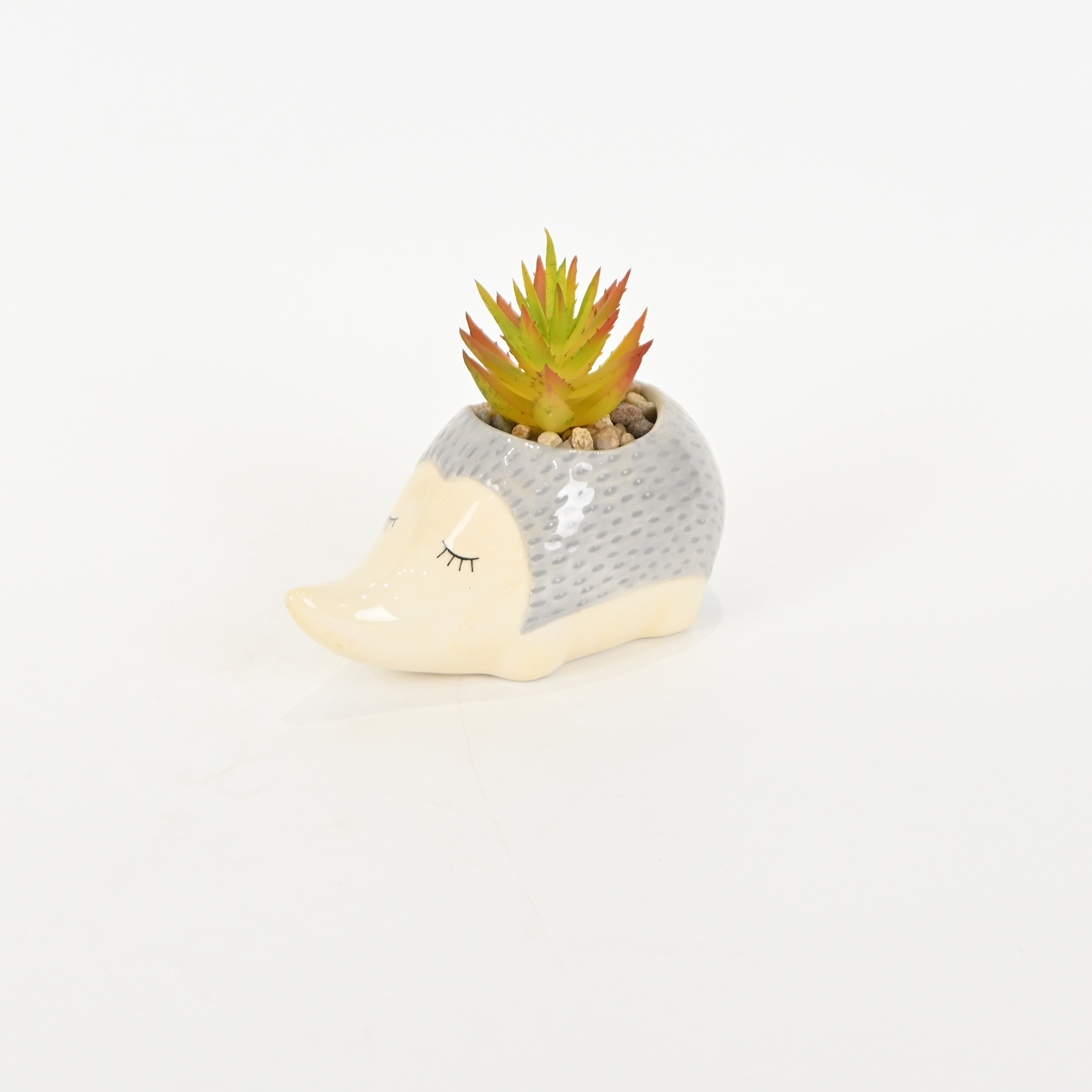Hedgehog Succulent Ornament