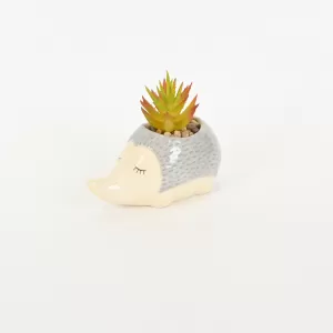 Hedgehog Succulent Ornament