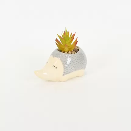 Hedgehog Succulent Ornament