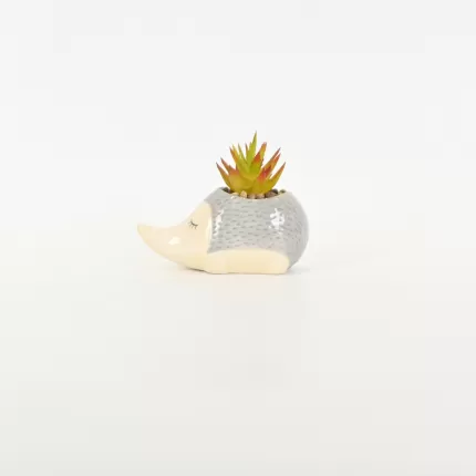 Hedgehog Succulent Ornament