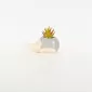 Hedgehog Succulent Ornament