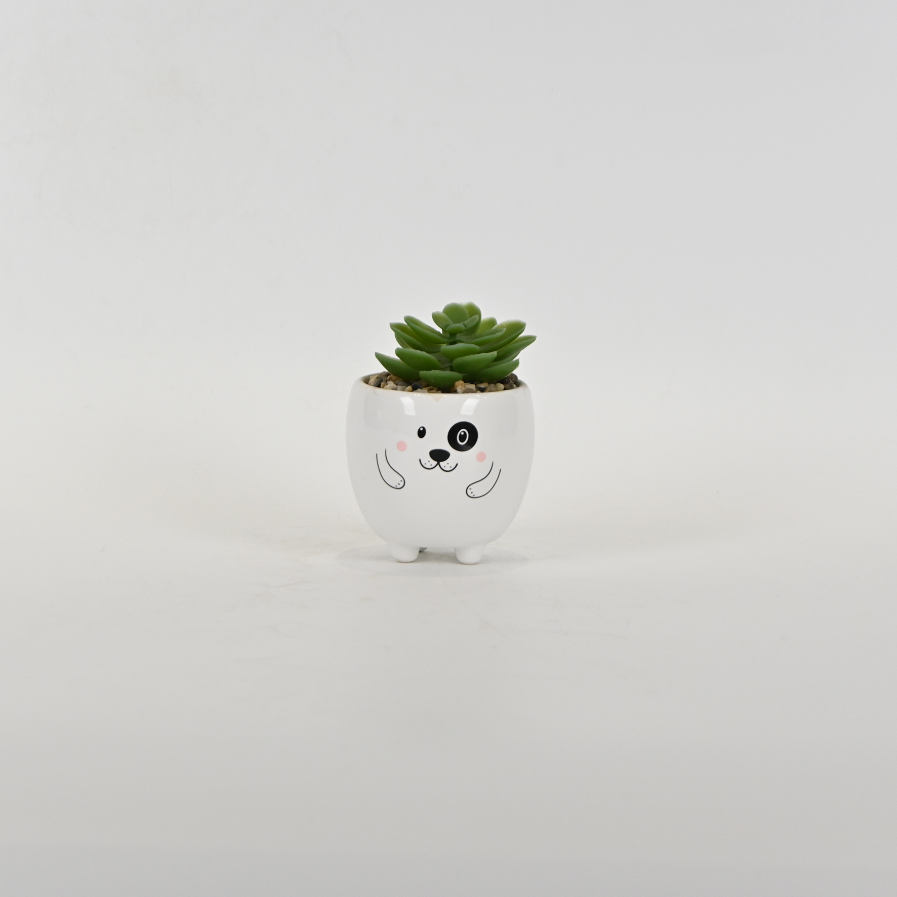 Little Dog Succulent Ornament