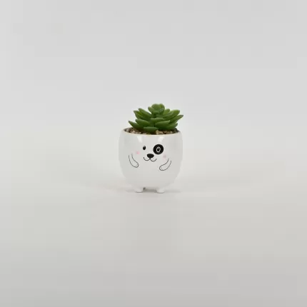 Little Dog Succulent Ornament