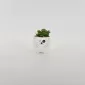 Little Dog Succulent Ornament