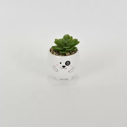 Little Dog Succulent Ornament