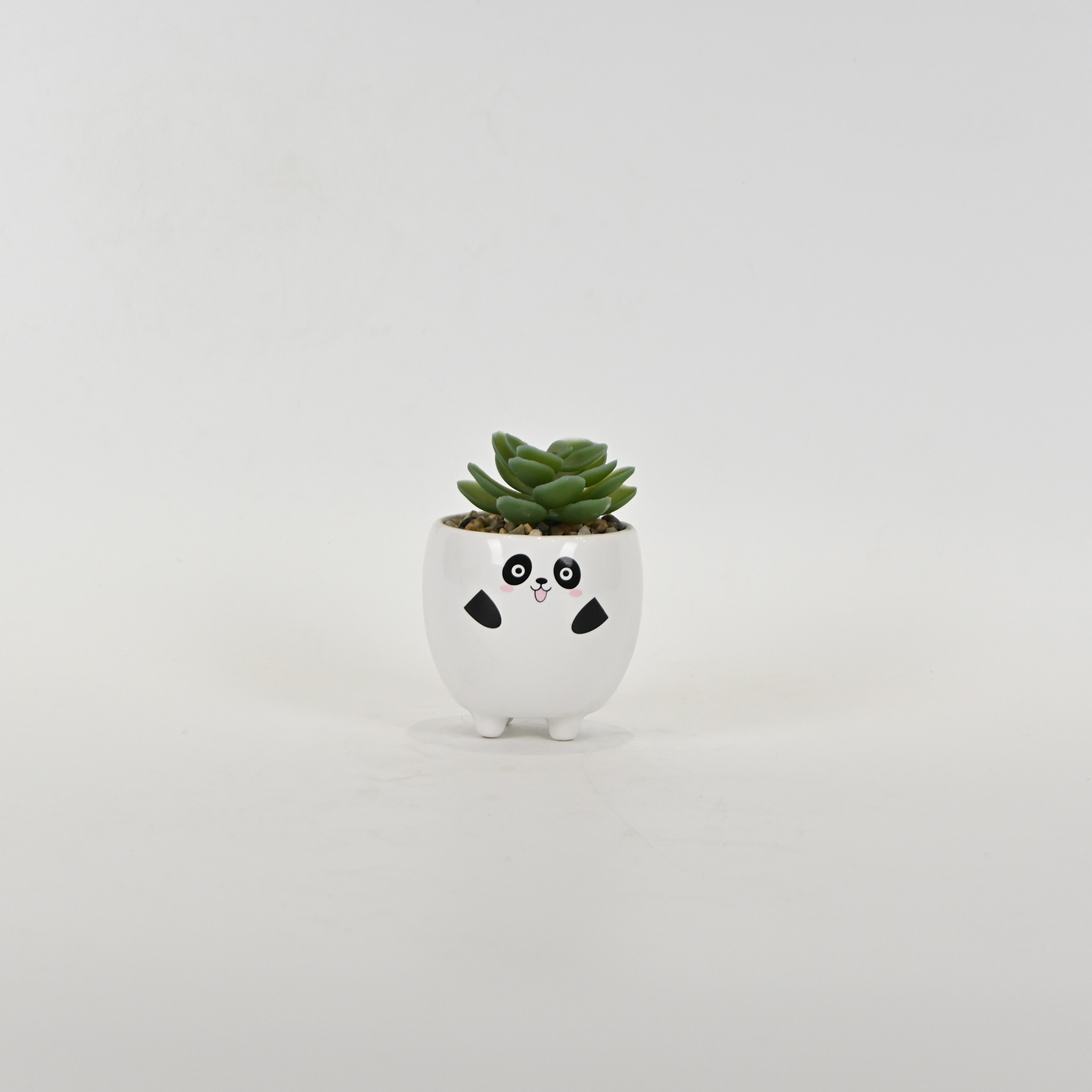 Panda Succulent Ornament