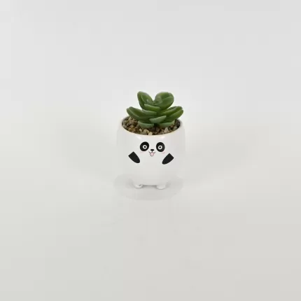 Panda Succulent Ornament
