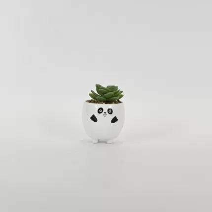 Panda Succulent Ornament