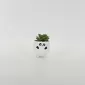 Panda Succulent Ornament