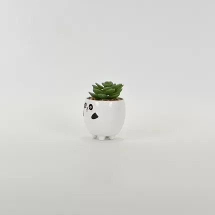 Panda Succulent Ornament