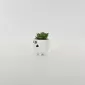 Panda Succulent Ornament