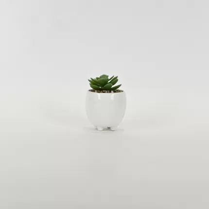 Panda Succulent Ornament