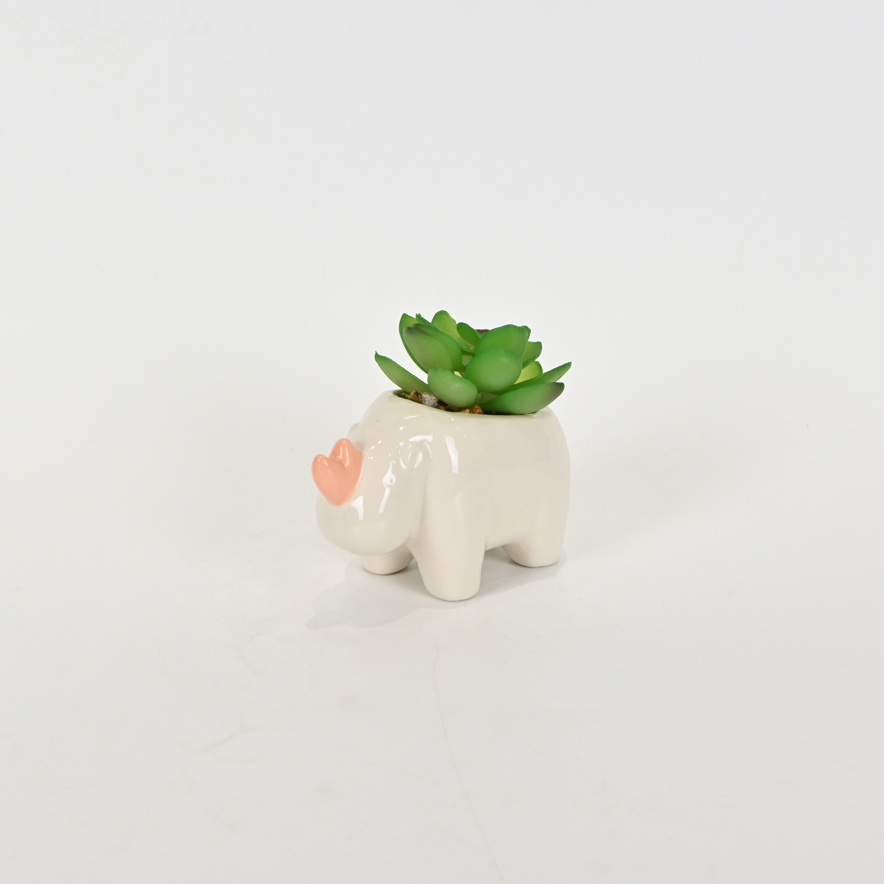 Rhino Succulent Ornament