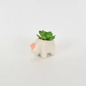 Rhino Succulent Ornament