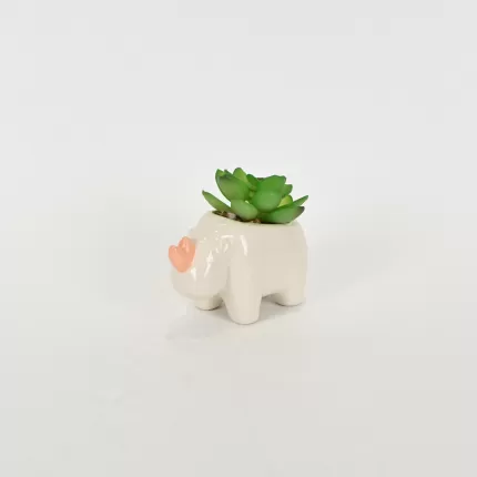 Rhino Succulent Ornament