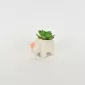 Rhino Succulent Ornament