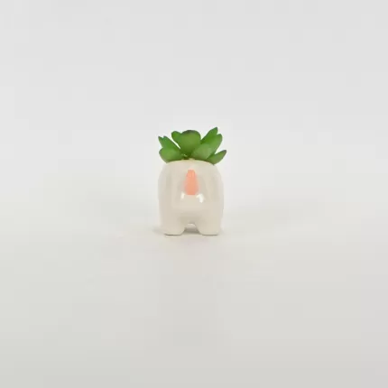 Rhino Succulent Ornament