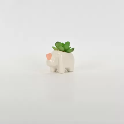 Rhino Succulent Ornament