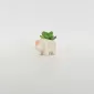 Rhino Succulent Ornament